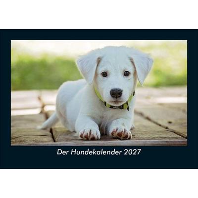 Der Hundekalender 2027 Fotokalender DIN A5