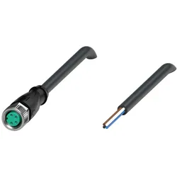 Pepperl+Fuchs Fabrik Kabeldose V31-GM-BK5M-PVC-U