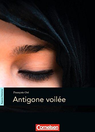 François Ost - Espaces littéraires: B1-B1+ - Antigone voilée: Lektüre - Preis vom 09.10.2026 07:28:09 h