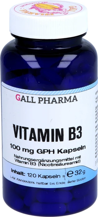 Vitamin B3 100 mg GPH Kapseln 120 St