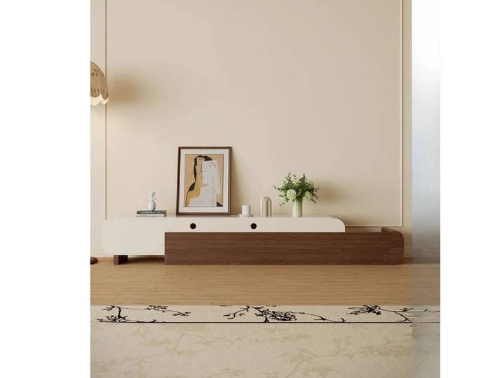 Console de télévision au Design européen, meuble de Style moderne et élégant, style Boho Simple, gain de place, meubles de salon Fernsehschrank
