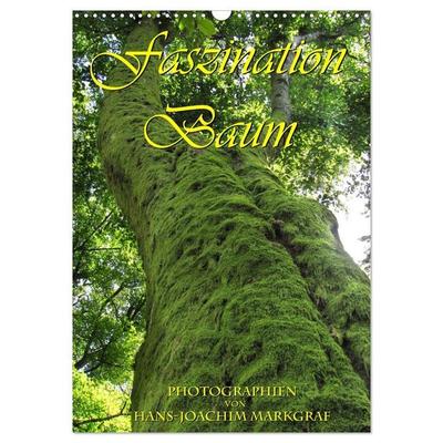 Faszination Baum (Wandkalender 2027 DIN A3 hoch), CALVENDO Monatskalender