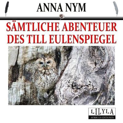 Sämtliche Abenteuer des Till Eulenspiegel - Anna Nym, Audio, 9783959897655