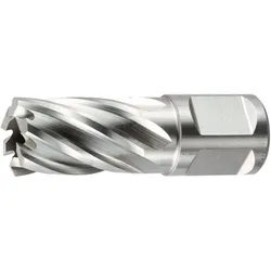 Holex, Lochsäge, Kernbohrer HSS Schnitttiefe 30 mm 13 mm (30 mm)