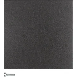 Berker Taste 1-fach anthrazit matt 85141185