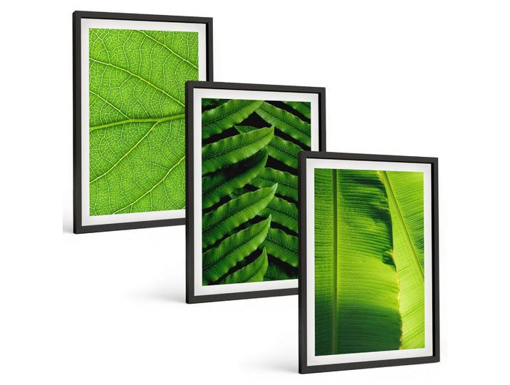 BILDER SET 3er Set - 40x60 cm Schwarzer Rahmen - Makrofotografie von tropischen Blättern