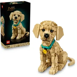 LEGO Icons 11384 Golden Retriever Welpe, Modellbau mit Hundefigur