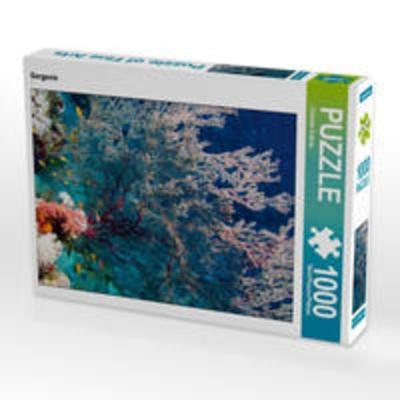 CALVENDO Puzzle Gorgonie 1000 Teile Lege-Größe 64 x 48 cm Foto-Puzzle Bild von Christian Suttrop