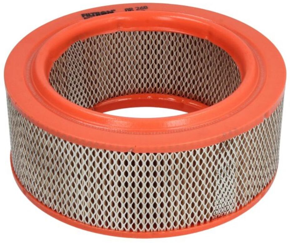 Filtron Filtro aria AR 260
