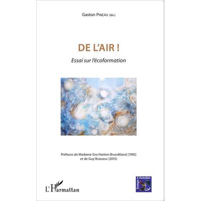 De l'air !, Taschenbuch von Gaston Pineau, Harmattan, 978-2-343-06814-5