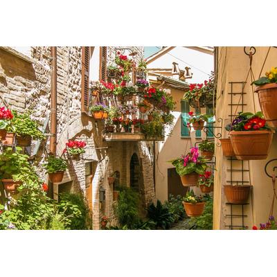 Fototapete PAPERMOON "Pflanzen in Altstadt", bunt, B:5m L:2,8m, Vlies, Tapeten