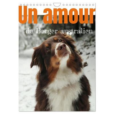 Un amour de berger australien (Calendrier mural 2027 DIN A4 horizontal), CALVENDO calendrier mensuel