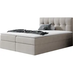 BOXBETT Rico - H3