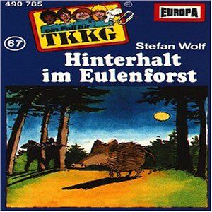 Tkkg 67 - 067/Hinterhalt im Eulenforst [Musikkassette] - Preis vom 09.10.2026 07:28:09 h