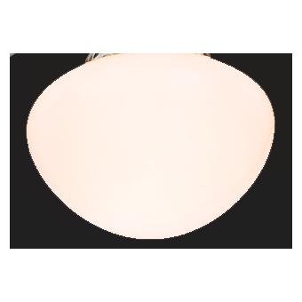 Globo Champion (50.10 dB) (0309)
