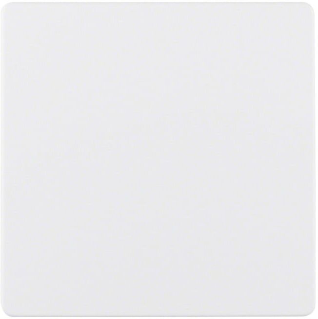 Berker Plaque centrale pws pour insert de capteur 75940489 (75940489)
