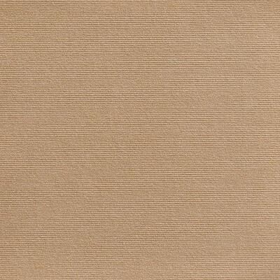 Inspired Finds 7 Sizes Self Adhesive Cat Scratch Mats Durable Furniture Protection Carpet Pads For Sofa & Floors khaki 15.75x78.74in