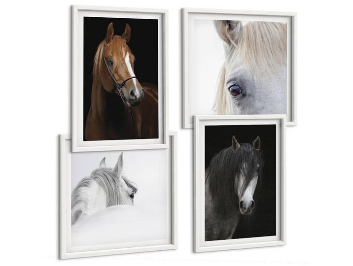 Tulup Bilder SET 4er Set - 50x50 cm & 40x60 cm Weißer Rahmen - Pferdeporträts in Schattierungen, Kunststoff, Rechteckig, 50x50 cm, Fotografie, Bilder & Rahmen, Bilder