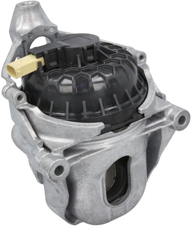 Reinhoch Supporto motore RH11-0174