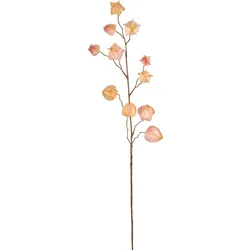 Kunstpflanze Physalis I Aprikose
