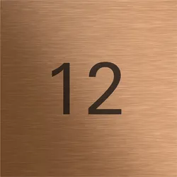 Gira 5560921 Info-Modul System 106 Bronze