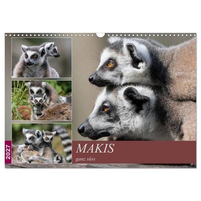 Makis ganz süss (Wandkalender 2027 DIN A3 quer), CALVENDO Monatskalender