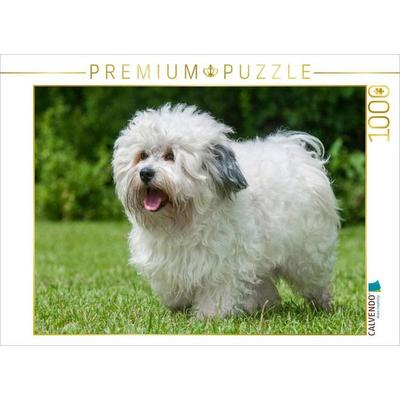 CALVENDO Puzzle Havaneser - Ein Herz auf 4 Pfoten | 1000 Teile Lege-Größe 64x48cm Foto-Puzzle für glückliche Stunden