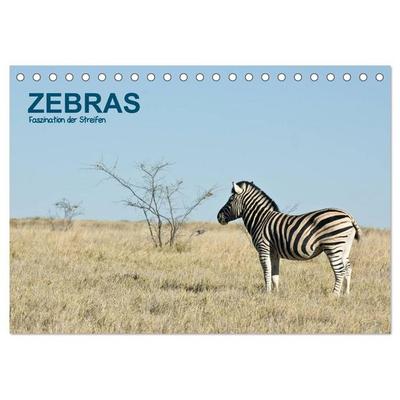 Zebras - Faszination der Streifen (Tischkalender 2026 DIN A5 quer), CALVENDO Monatskalender
