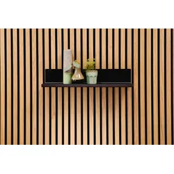 ter Hürne SilentDesign LivingWall Anbauelement Metall pulverbeschichtet schwarz Medium Arne Medium Function 570x100x155 mm