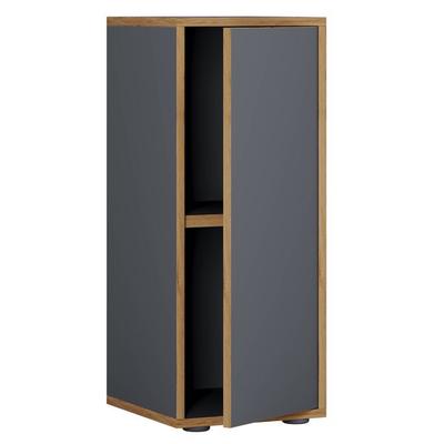 Büroschrank Aktenschrank Sideboard Salia 2fach