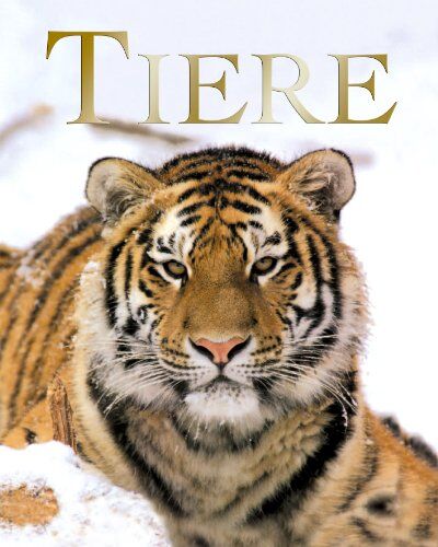 Mike Briggs - Tiere - Preis vom 11.10.2026 03:10:56 h