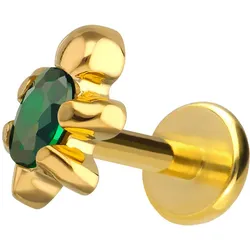 Titan Labret mit Push Fit SCHILDKRÖTE