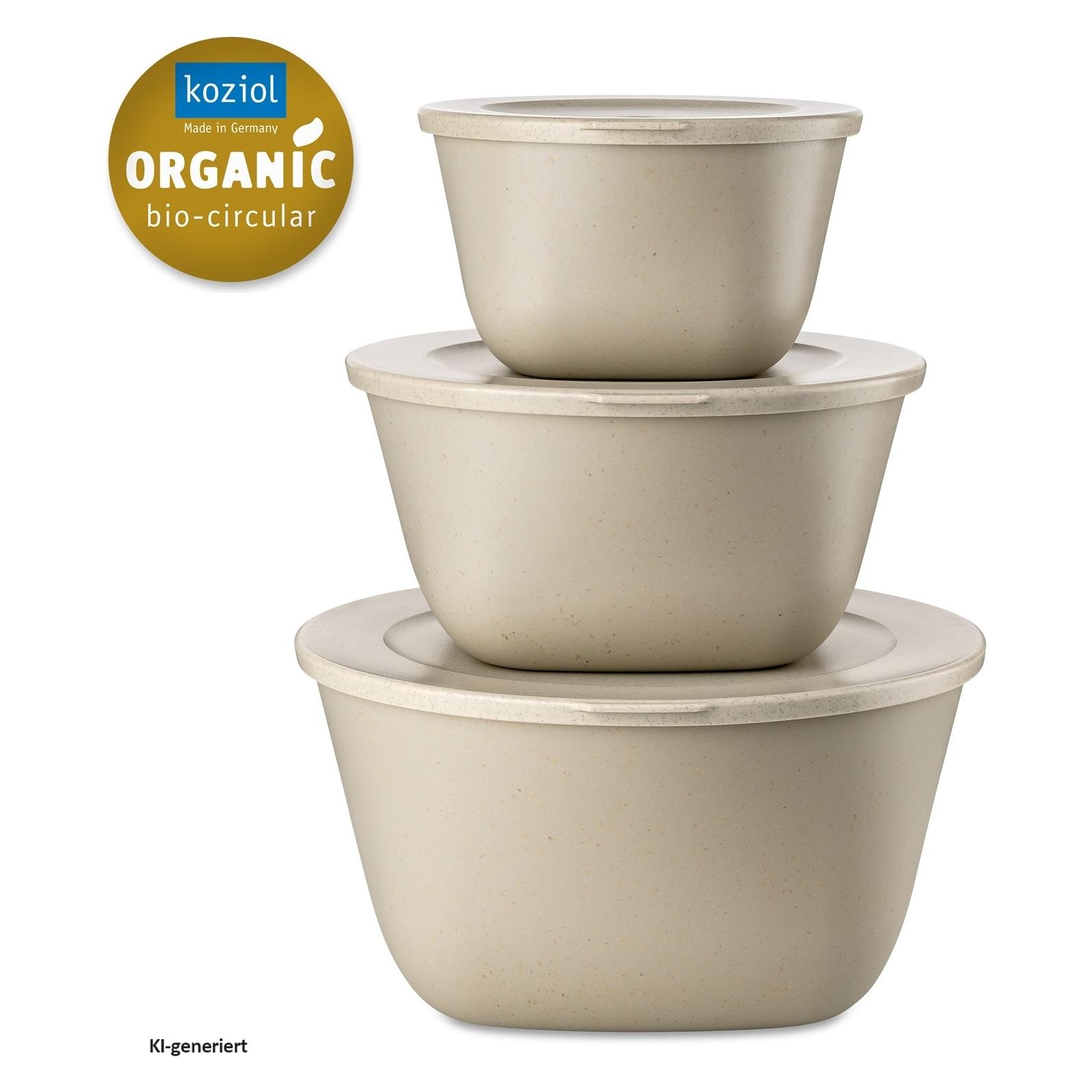 Koziol Frischhaltedosen-Set CONNECT BOX SET STOCKHOLM (1 l) (7873700)