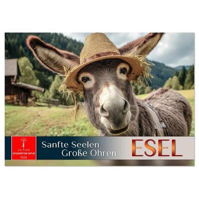 Esel - sanfte Seelen, große Ohren (Tischkalender 2026 DIN A5 quer), CALVENDO Monatskalender