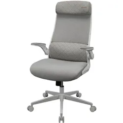 Cougar Gaming/Office-Stuhl Stryder, Stoff, Weiss, Gaming Stuhl, Weiss, Schwarz
