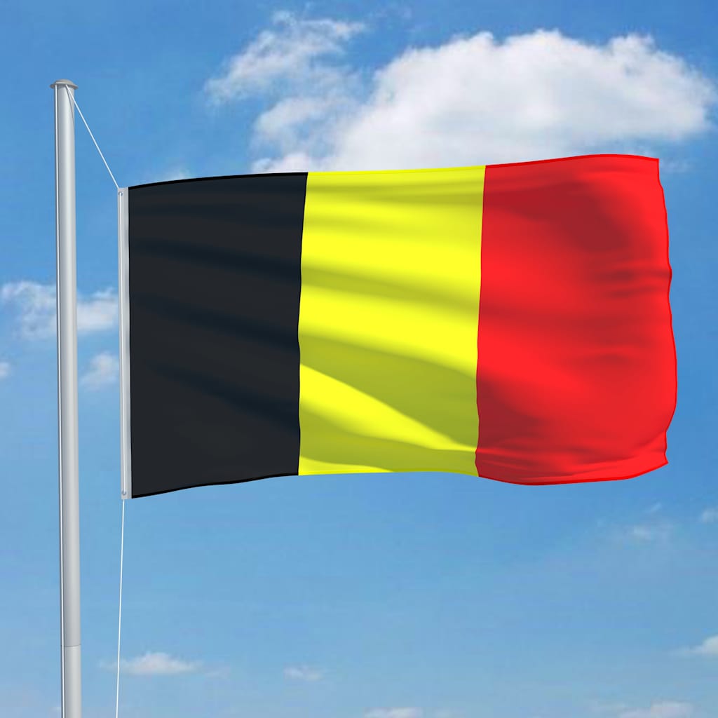 vidaXL Drapeau Belgique 90x150 cm