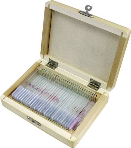 Bresser Optik 5985000 Experimentier-Set