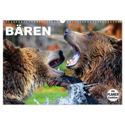 Bären (Wandkalender 2027 DIN A3 quer), CALVENDO Monatskalender