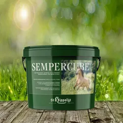 St. Hippolyt Semper Cube 3 kg - Der praktische, getreide- & glutenfreie Mineralwürfel für Weide und Stall