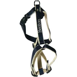 Martin Sellier Benton (S, Hund, Spazieren), Halsband + Leine