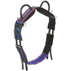Longiergurt BU Double