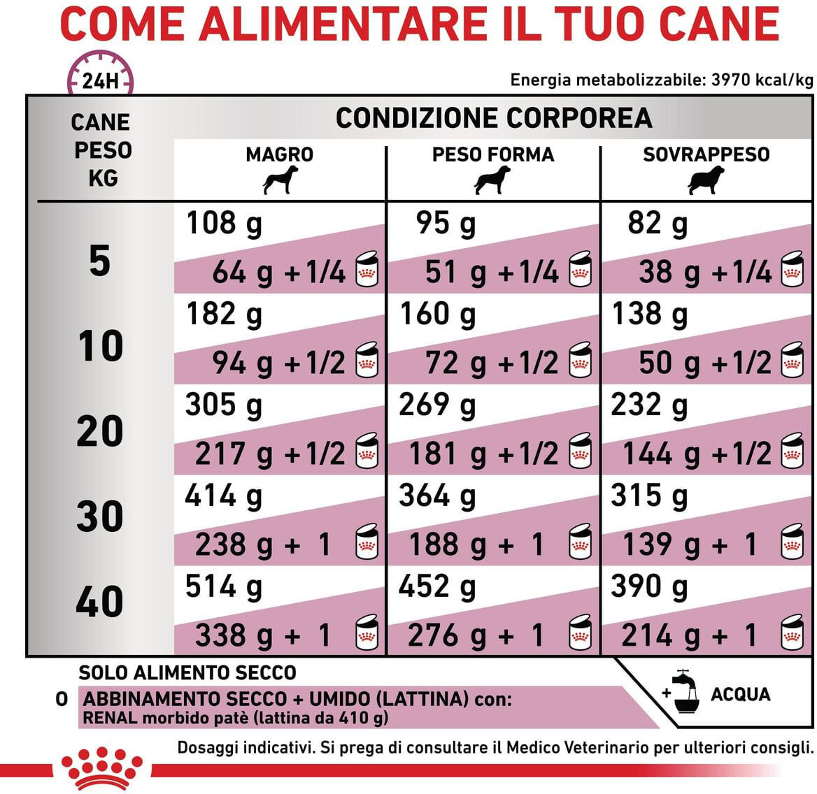 Royal Canin V-Diet Renal Special Cane 2KG