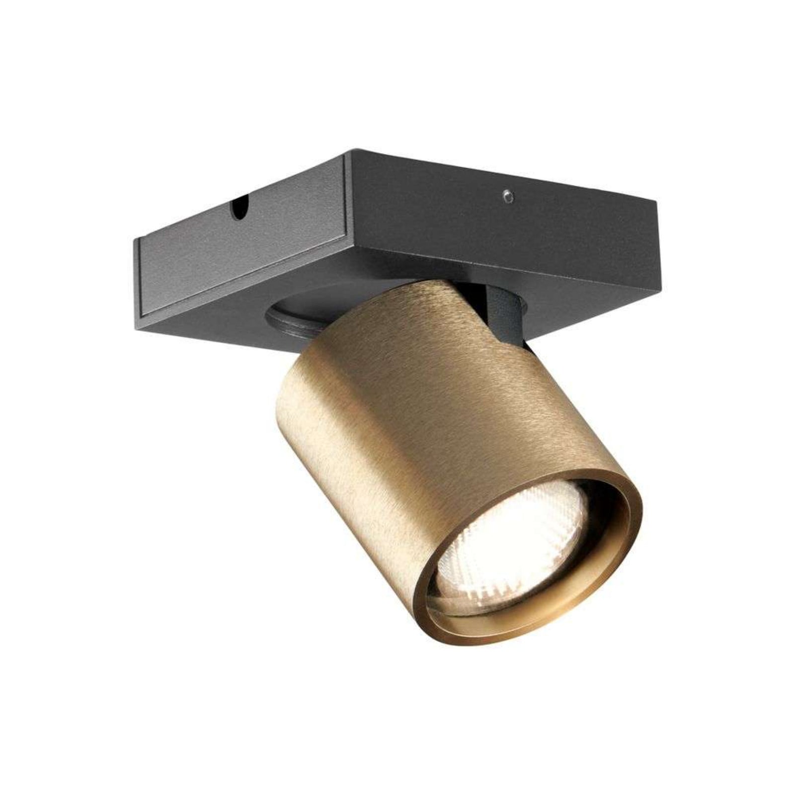 LIGHT-POINT Focus 1 LED Plafondlamp Brass - Aluminium - 2700K