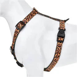 Barry King BarryKing Szelki Dzika Pantera 20mm/50-80cm (Hund), Halsband + Leine