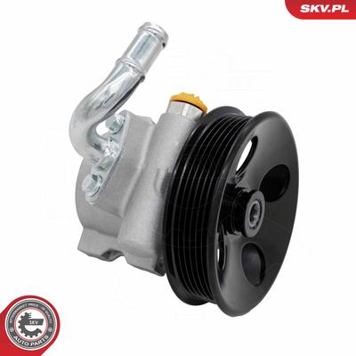 ESEN SKV Hydraulikpumpe, Lenkung 10SKV427 für GM