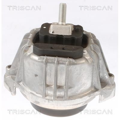 TRISCAN Lagerung, Motor 850511103 für BMW