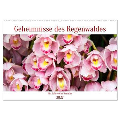 Geheimnisse des Regenwaldes (Wandkalender 2027 DIN A2 quer), CALVENDO Monatskalender