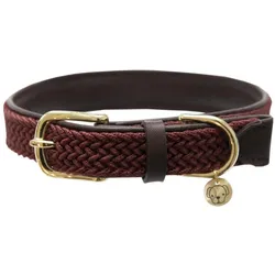 Kentucky Dogwear Hundehalsband geflochten (XS, Hund, Allgemein, Spazieren), Halsband + Leine