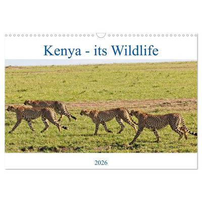 Kenya - its Wildlife (Wall Calendar 2026 DIN A3 landscape), CALVENDO 12 Month Wall Calendar