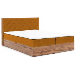 BOXBETT Maximo In Torre